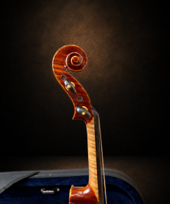 Đầu cuộn và chốt lên dây violin Bella Armonia Modell CONTROLATTIA size 4/4 nhìn nghiêng
