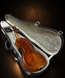Mặt lưng violin Bella Armonia size 3/4 nằm trong hộp mở