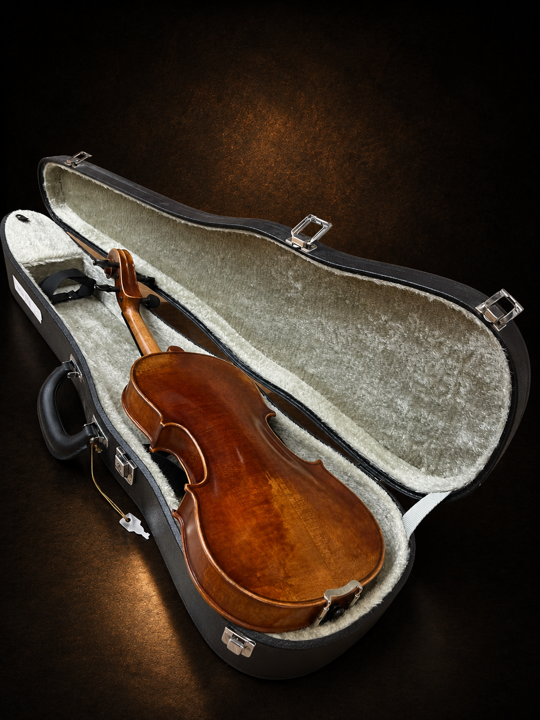 Mặt lưng violin Bella Armonia size 3/4 nằm trong hộp mở