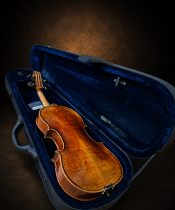 Mặt lưng violin Bella Armonia size 4/4 nằm trong hộp mở
