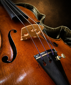 Cận cảnh ngựa đàn, dây và lỗ thoát âm violin mang nhãn J.B. Herclík