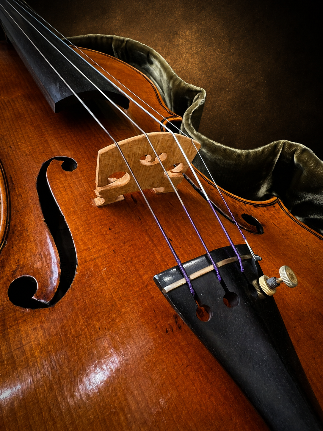 Cận cảnh ngựa đàn, dây và lỗ thoát âm violin mang nhãn J.B. Herclík