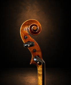 Đầu cuộn và chốt lên dây violin mang nhãn J.B. Herclík nhìn nghiêng