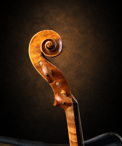 Đầu cuộn và chốt lên dây violin mang nhãn Schweitzer 1814 nhìn nghiêng
