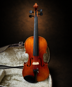 Toàn bộ mặt trước violin Suzuki No.200 đặt đứng