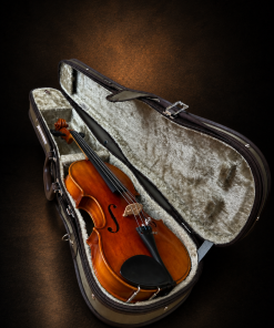 Mặt trước violin Suzuki No.200 nằm trong hộp mở