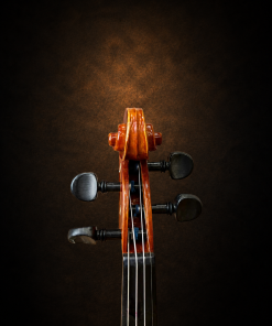 Hộp chốt violin Suzuki No.200 nhìn từ phía trước