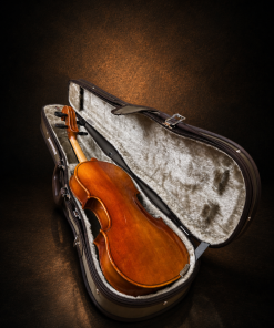 Mặt lưng violin Suzuki No.200 nằm trong hộp mở