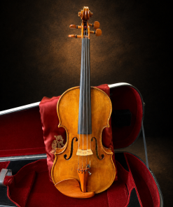 Mặt đàn và lỗ f Violin Augustus Pollastri 1915 size 4/4