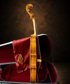 Góc nghiêng hông violin mang nhãn Augustus Pollastri 1915, mặt đàn hướng sang phải