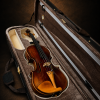 Chi tiết lỗ f và ngựa Violin Carlo Blsiacb di Leandro 1949