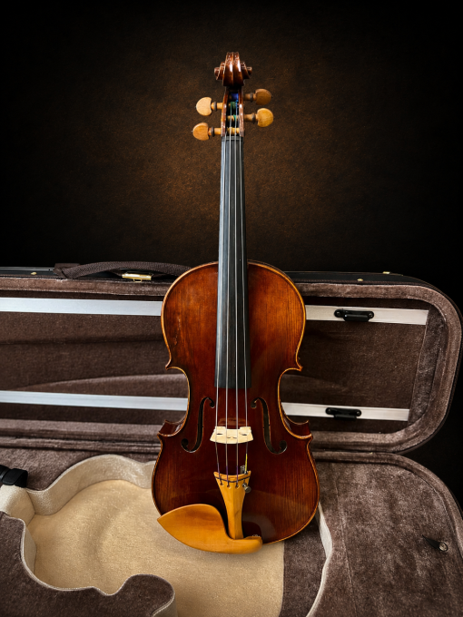 Toàn bộ mặt trước violin mang nhãn Carlo Bisiach di Leandro 1949 đặt đứng.
