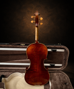 Mặt lưng maple hai mảnh của Violin Carlo Blsiacb di Leandro 1949