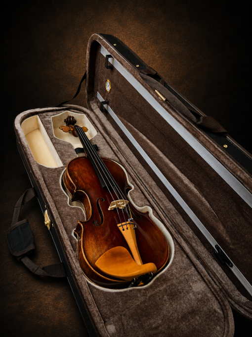 Mặt trước violin mang nhãn Carlo Bisiach di Leandro 1949 nằm trong hộp mở.