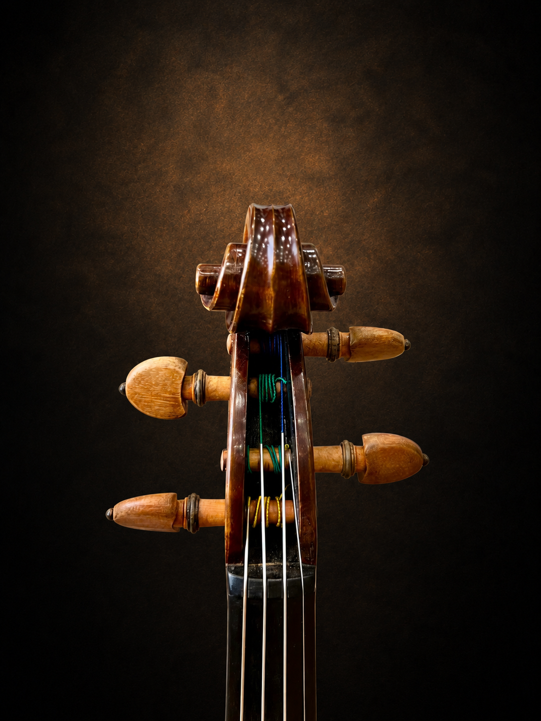 Hộp chốt violin mang nhãn Carlo Bisiach di Leandro 1949 nhìn từ phía trước