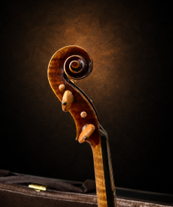 Đầu cuộn và chốt lên dây violin mang nhãn Carlo Bisiach di Leandro 1949 nhìn nghiêng