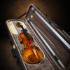 Mặt trước violin mang nhãn Giuseppe Fiorini 1919 nằm trong hộp mở