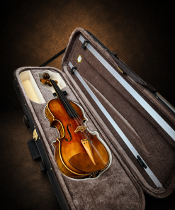 Mặt trước violin mang nhãn Giuseppe Fiorini 1919 nằm trong hộp mở