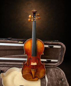 Toàn bộ mặt trước violin mang nhãn Giuseppe Fiorini 1919 đặt đứng