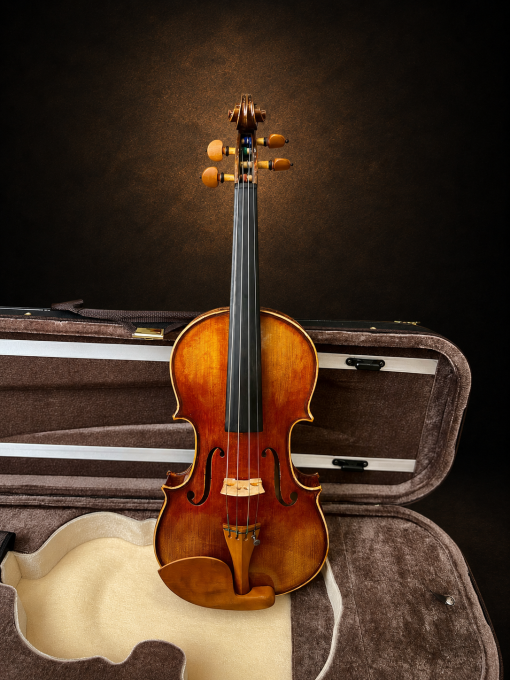 Toàn bộ mặt trước violin mang nhãn Giuseppe Fiorini 1919 đặt đứng