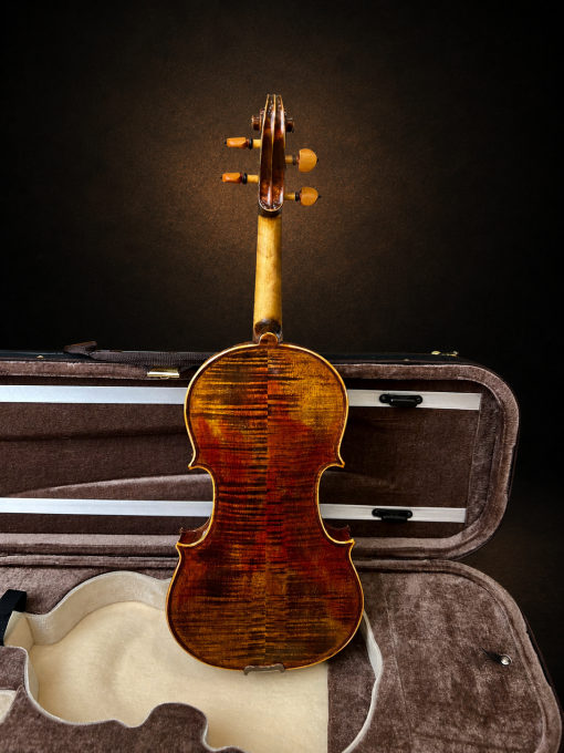 Toàn bộ mặt lưng violin mang nhãn Giuseppe Fiorini 1919 đặt đứng