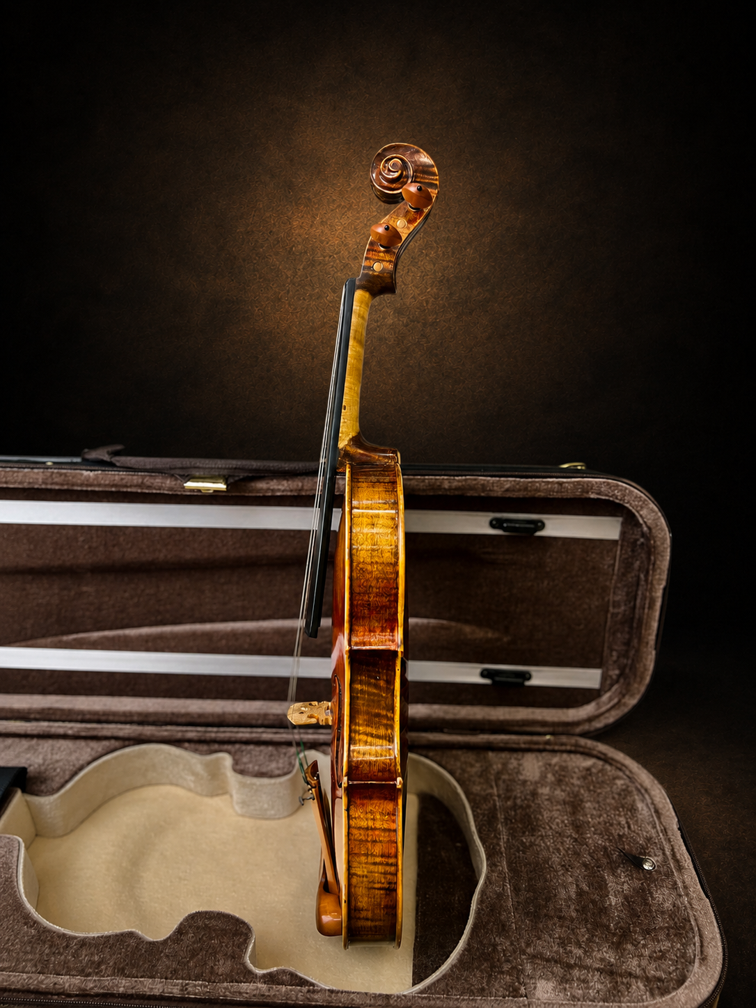 Góc nghiêng hông violin mang nhãn Giuseppe Fiorini 1919, mặt đàn hướng sang trái