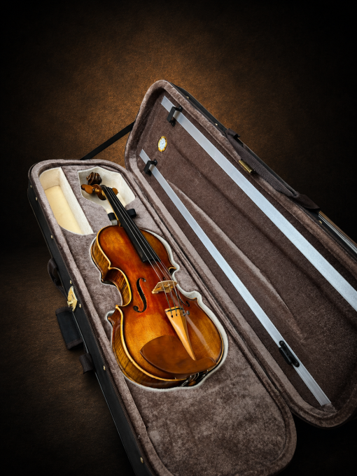 Mặt trước violin mang nhãn Giuseppe Fiorini 1919 nằm trong hộp mở