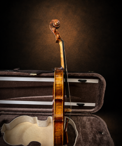 Góc nghiêng hông violin mang nhãn Giuseppe Fiorini 1919, mặt đàn hướng sang phải