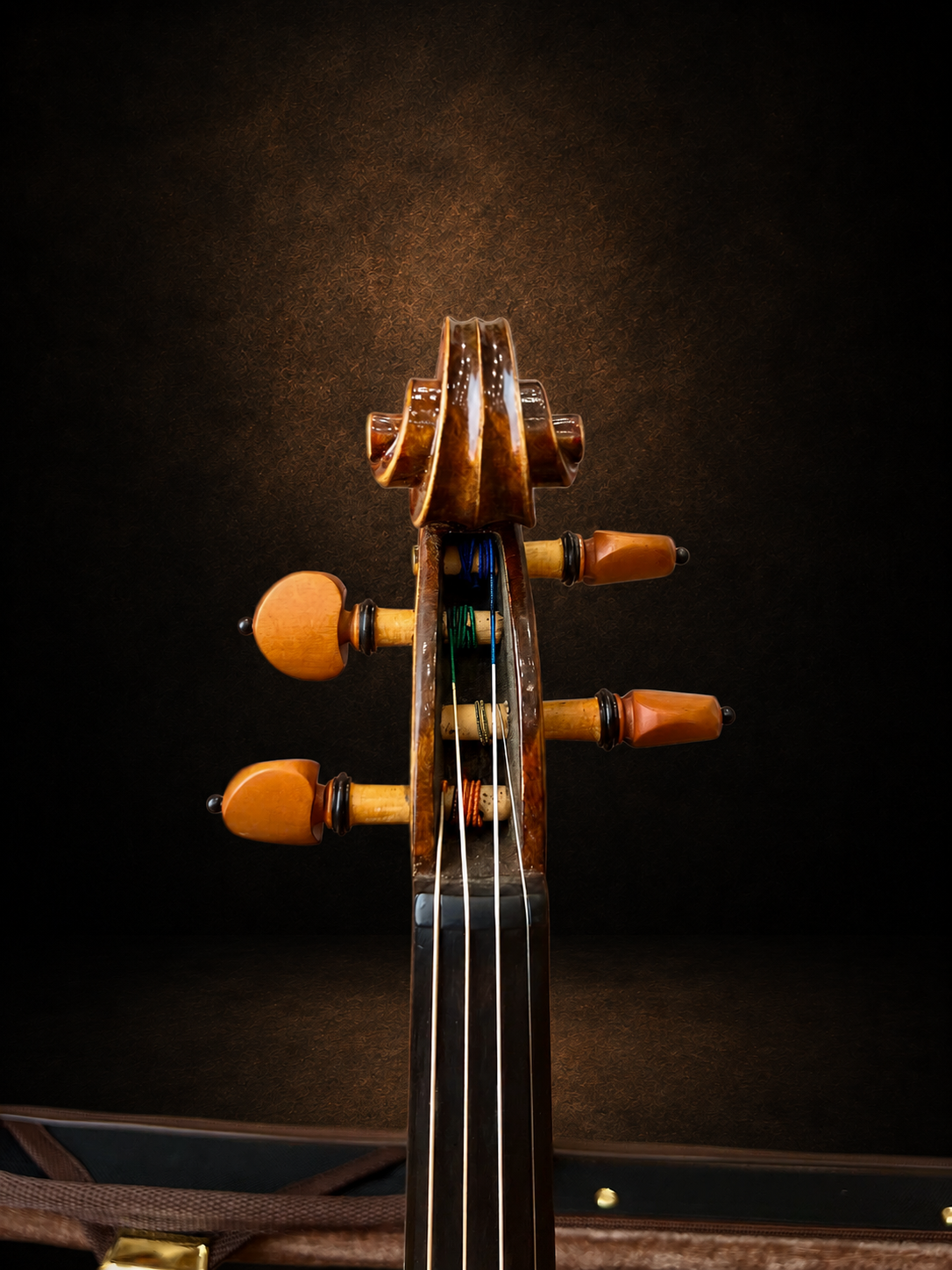 Hộp chốt violin mang nhãn Giuseppe Fiorini 1919 nhìn từ phía trước