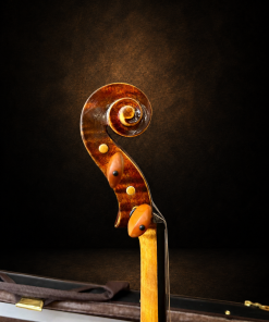 Đầu cuộn và chốt lên dây violin mang nhãn Giuseppe Fiorini 1919 nhìn nghiêng