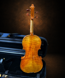 Mặt lưng hai mảnh minh họa cho Violin ROCCA ENRICO 1902