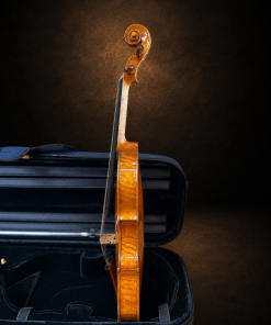 Góc nghiêng hông violin mang nhãn Rocca Enrico 1902, mặt đàn hướng sang trái