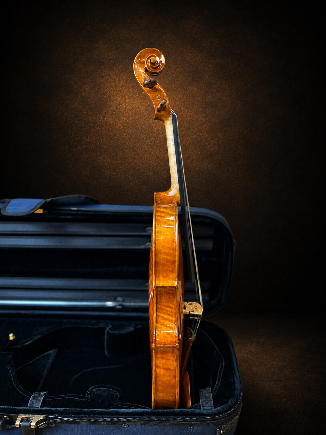 Góc nghiêng hông violin mang nhãn Rocca Enrico 1902, mặt đàn hướng sang phải