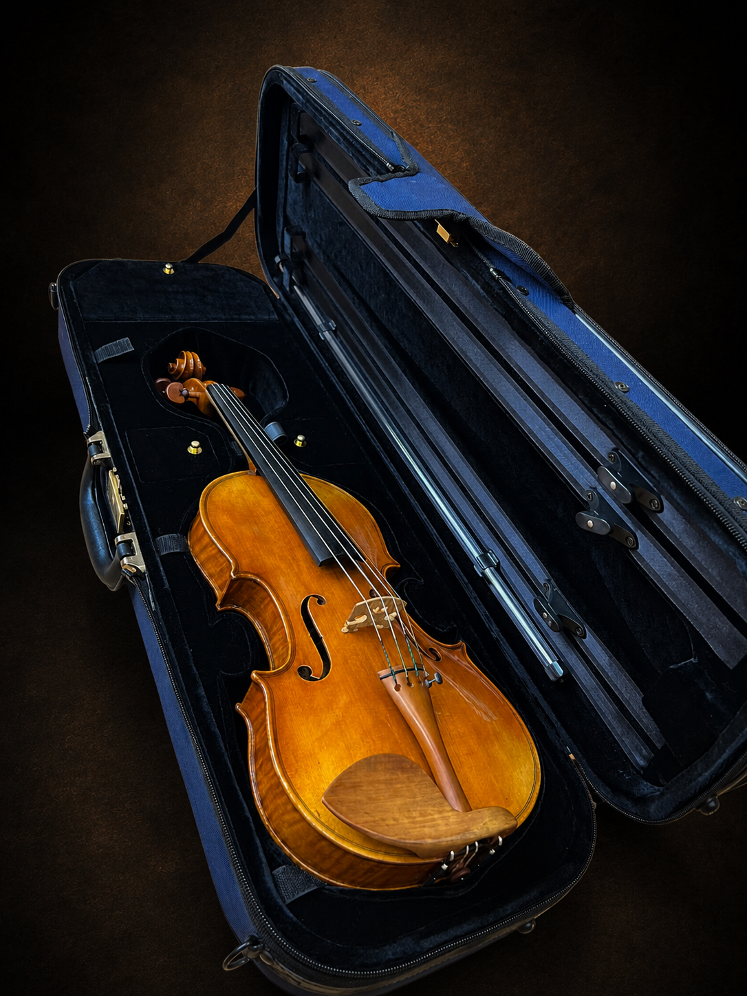 Mặt trước violin mang nhãn Rocca Enrico 1902 nằm trong hộp mở