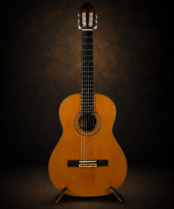 Guitar Antonio Sanchez 1030 EQ – toàn cảnh mặt trước dáng classic