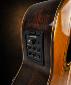 Guitar Antonio Sanchez 1030 EQ – cận cảnh cụm EQ Fishman bên hông