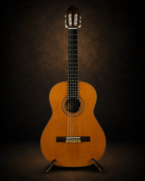 Guitar Antonio Sanchez 1030 EQ – toàn cảnh mặt trước dáng classic