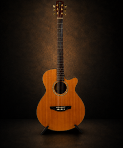 Guitar Headway TF-1000 – toàn cảnh mặt trước với thân khuyết