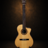 Guitar Martinez MP-14 Rose – toàn cảnh mặt trước với thân khuyết