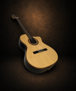 Guitar Martinez MP-14 Rose – mặt trước chụp nghiêng trên nền nâu
