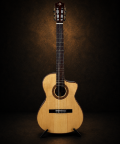 Guitar Martinez MP-14 Rose – toàn cảnh mặt trước với thân khuyết