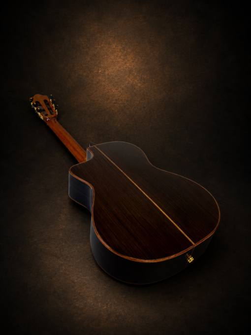 Guitar Martinez MP-14 Rose – mặt lưng chụp nghiêng và đường ghép giữa
