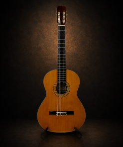 Guitar Matsuoka No.30 – toàn cảnh mặt trước trên giá