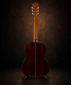 Guitar Matsuoka No.30 – toàn cảnh mặt sau và cần đàn
