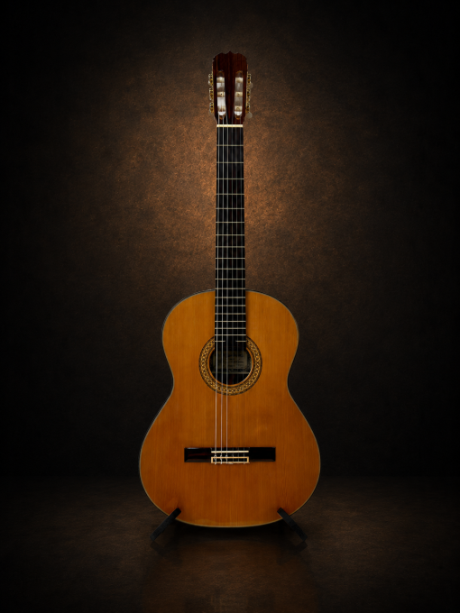 Guitar Matsuoka No.30 – toàn cảnh mặt trước trên giá