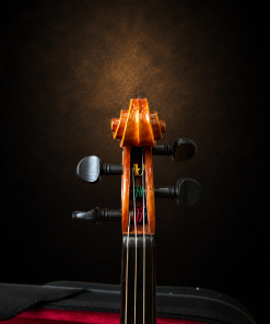 Hộp chốt violin Suzuki No.300 size 1/4 nhìn từ phía trước