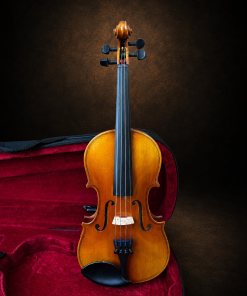 Toàn bộ mặt trước violin Suzuki No.300 size 1/4 đặt đứng
