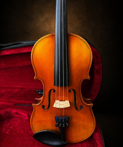 Cận cảnh mặt trước và ngựa đàn của violin Suzuki No.300 size 1/4