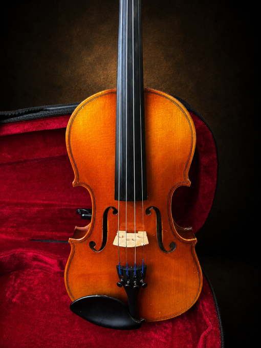 Cận cảnh mặt trước và ngựa đàn của violin Suzuki No.300 size 1/4