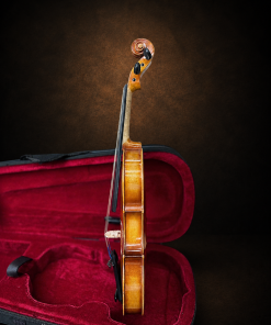 Góc nghiêng hông violin Suzuki No.300 size 1/4, mặt đàn hướng sang trái